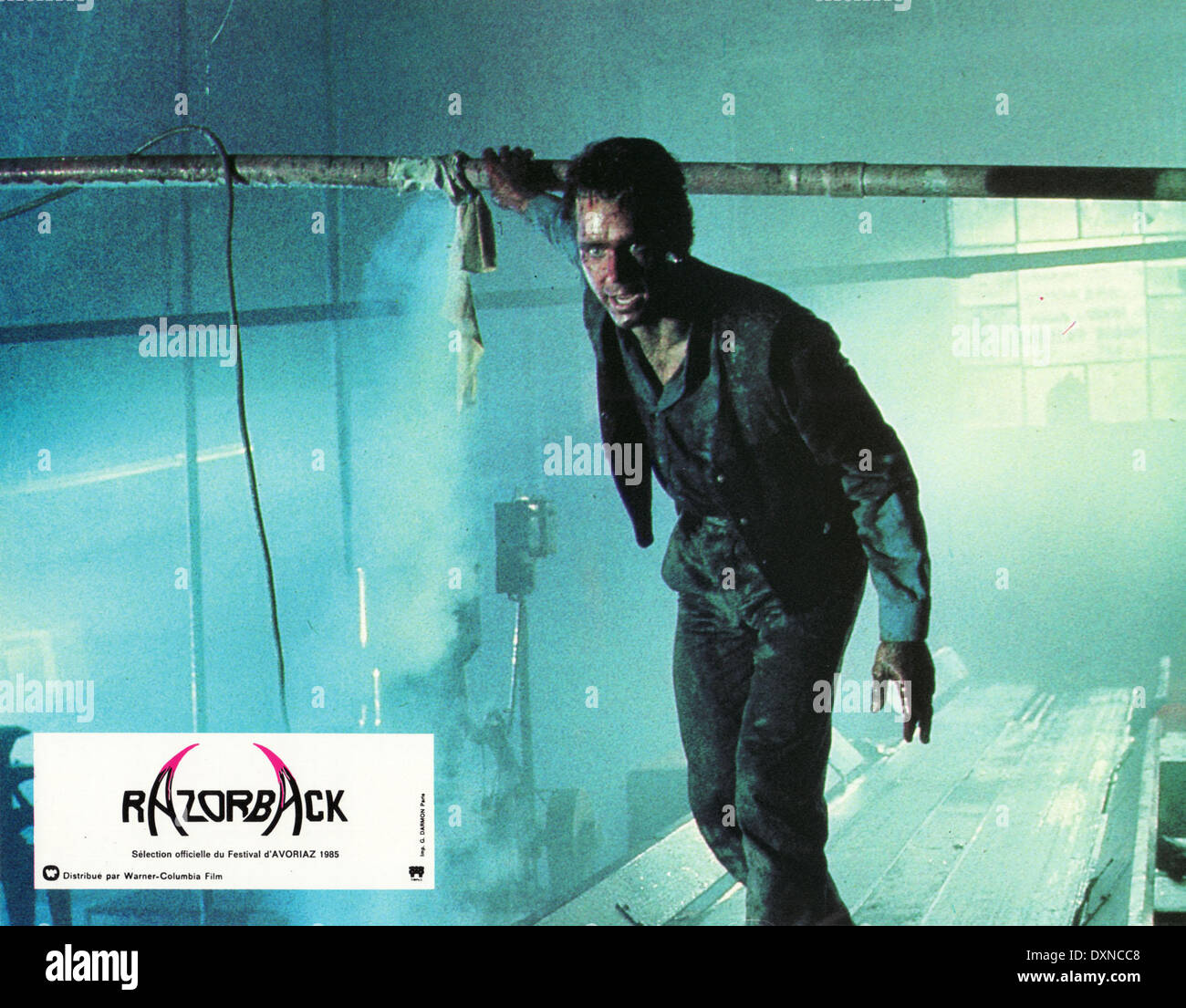 Razorback 1984 hires stock photography and images Alamy