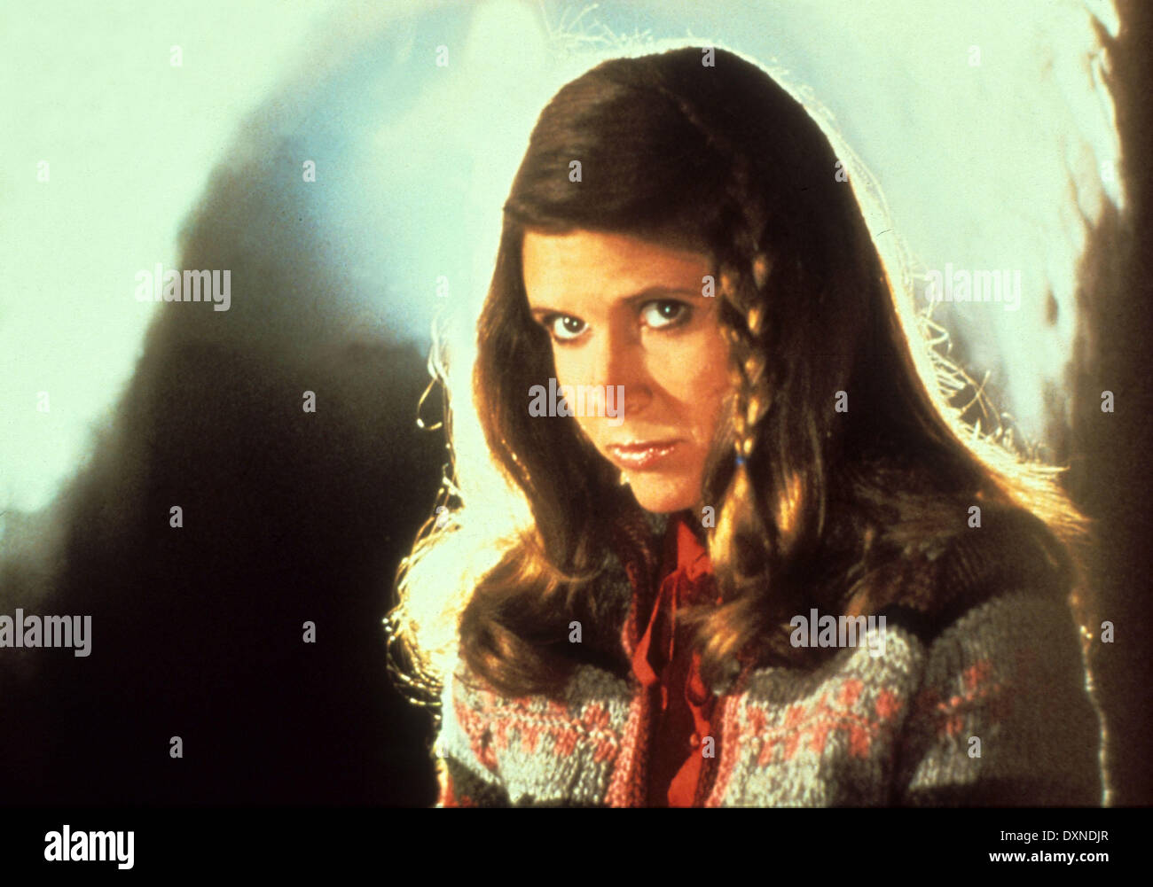 THE BLUES BROTHERS Stock Photo - Alamy