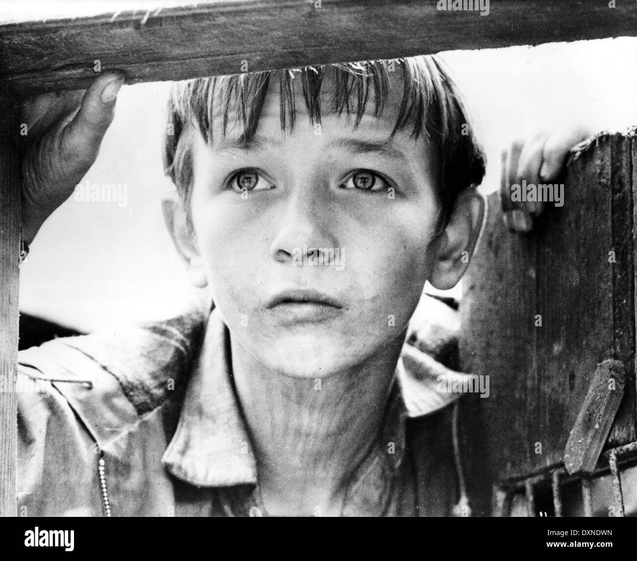 Kes Film Still Black And White Stock Photos Images Alamy kes-film-still-black-and-white-stock-photos-images-alamy