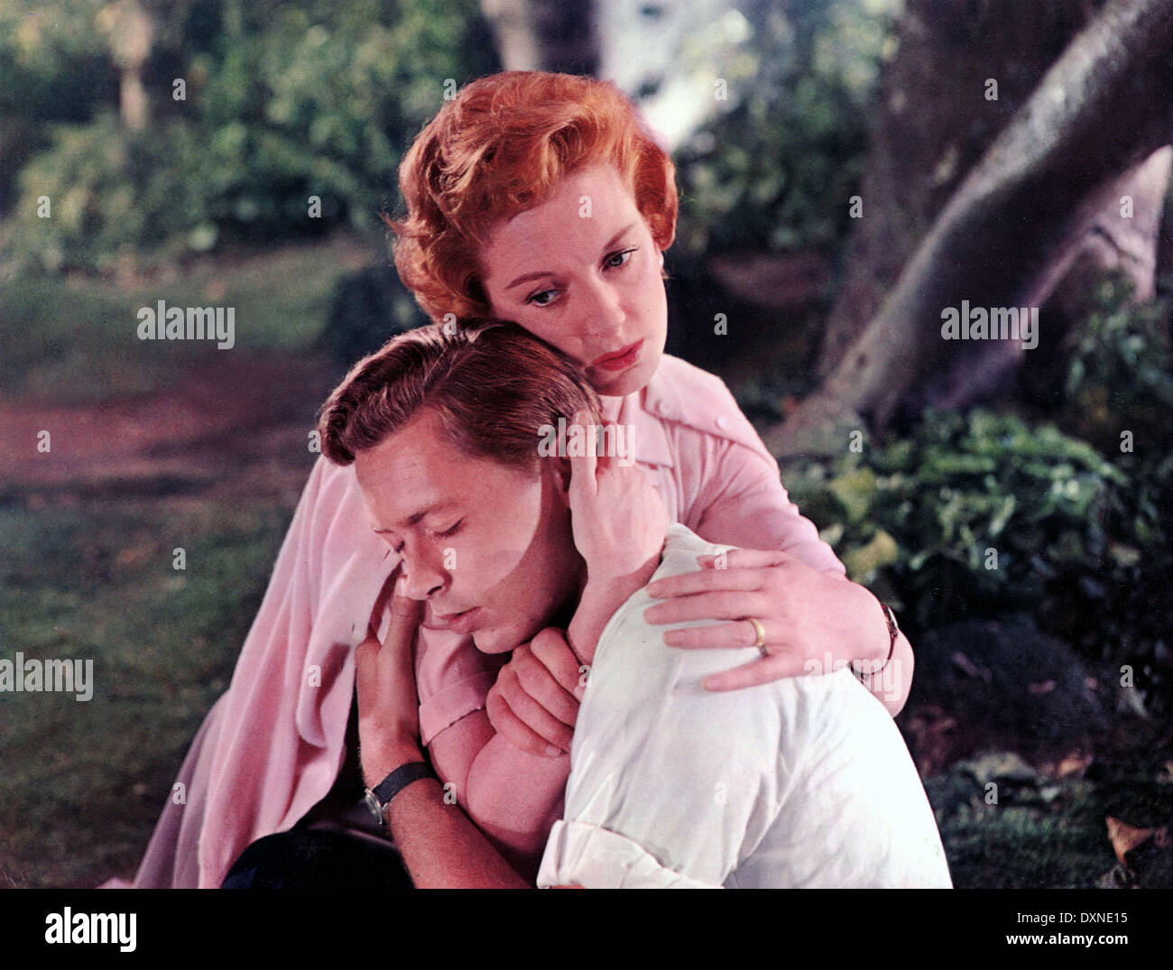 TEA AND SYMPATHY Stock Photo Alamy