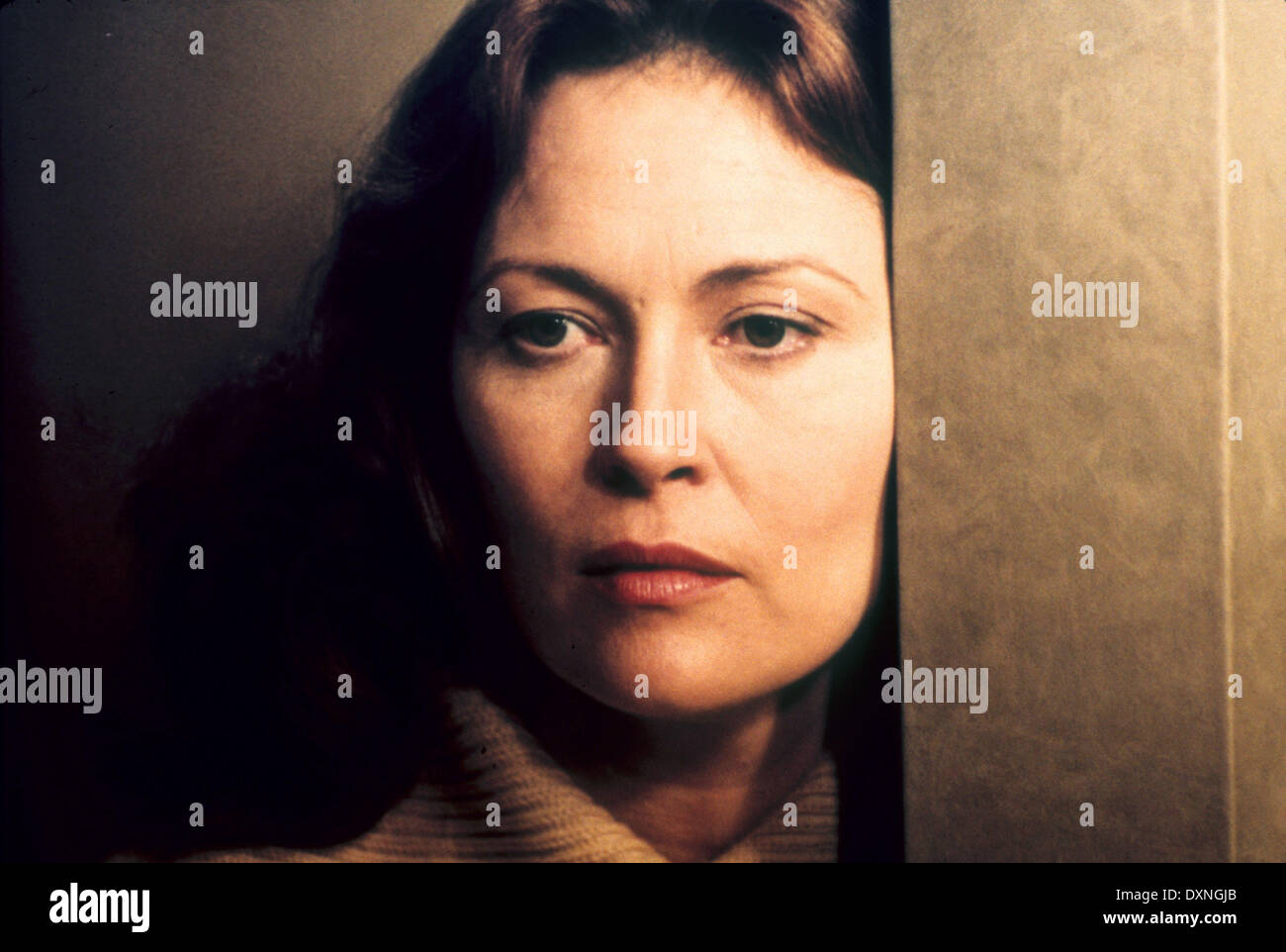 die augen der laura mars