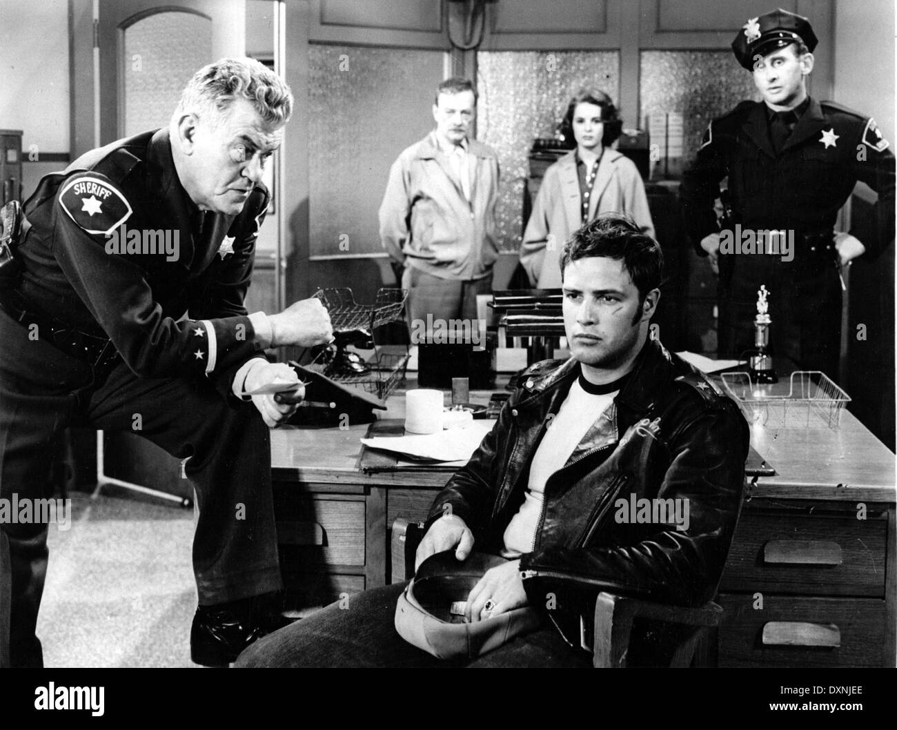 THE WILD ONE Stock Photo Alamy