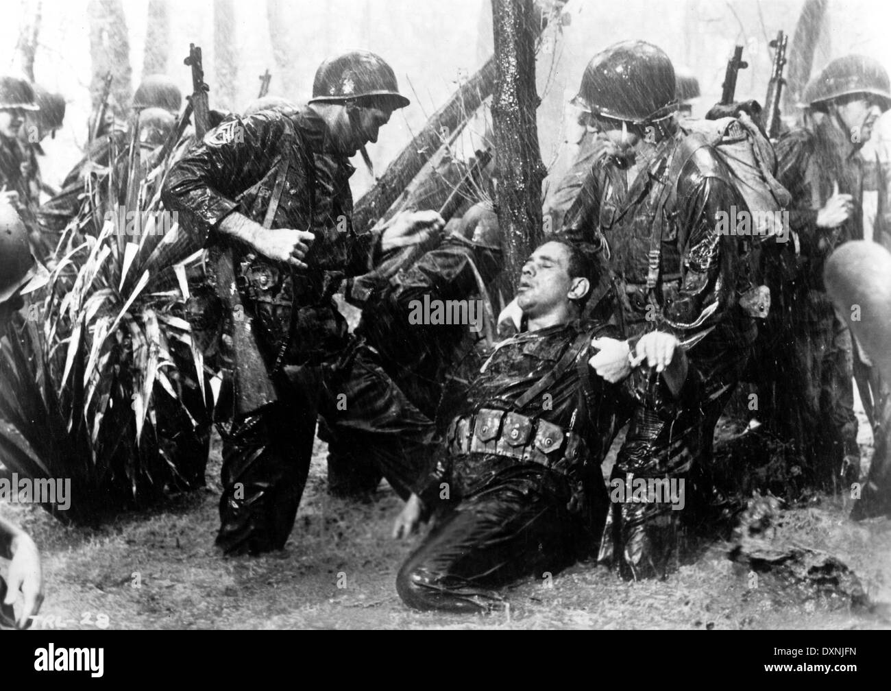 THE THIN RED LINE Stock Photo Alamy