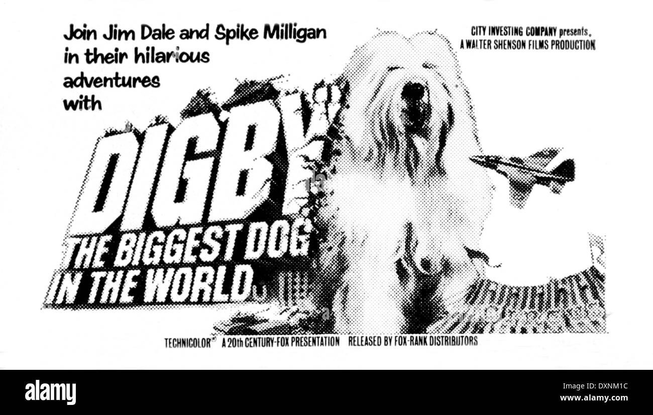 DIGBY, THE BIGGEST DOG IN THE WORLD Stock Photo Alamy