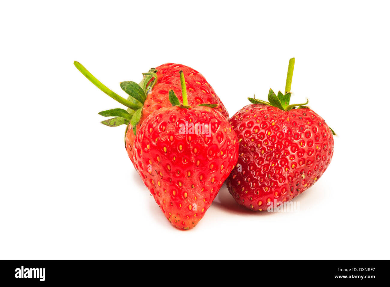 Ripe strawberries hi-res stock photography and images - Alamy
