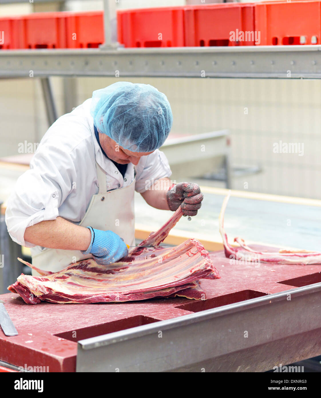 Meat processing plant germany hires stock photography and images Alamy