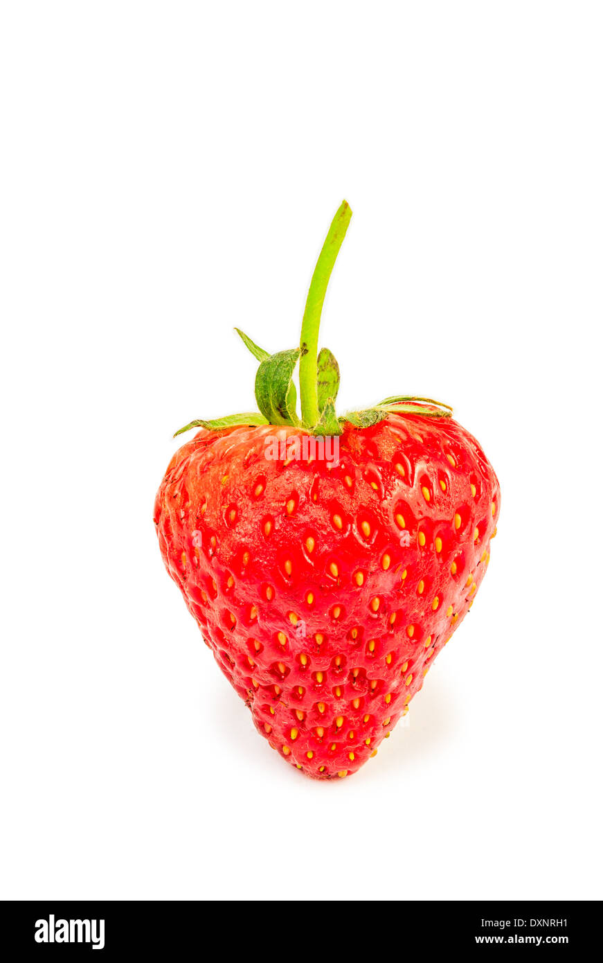 Heart shaped strawberry isolated white background Stock Photo