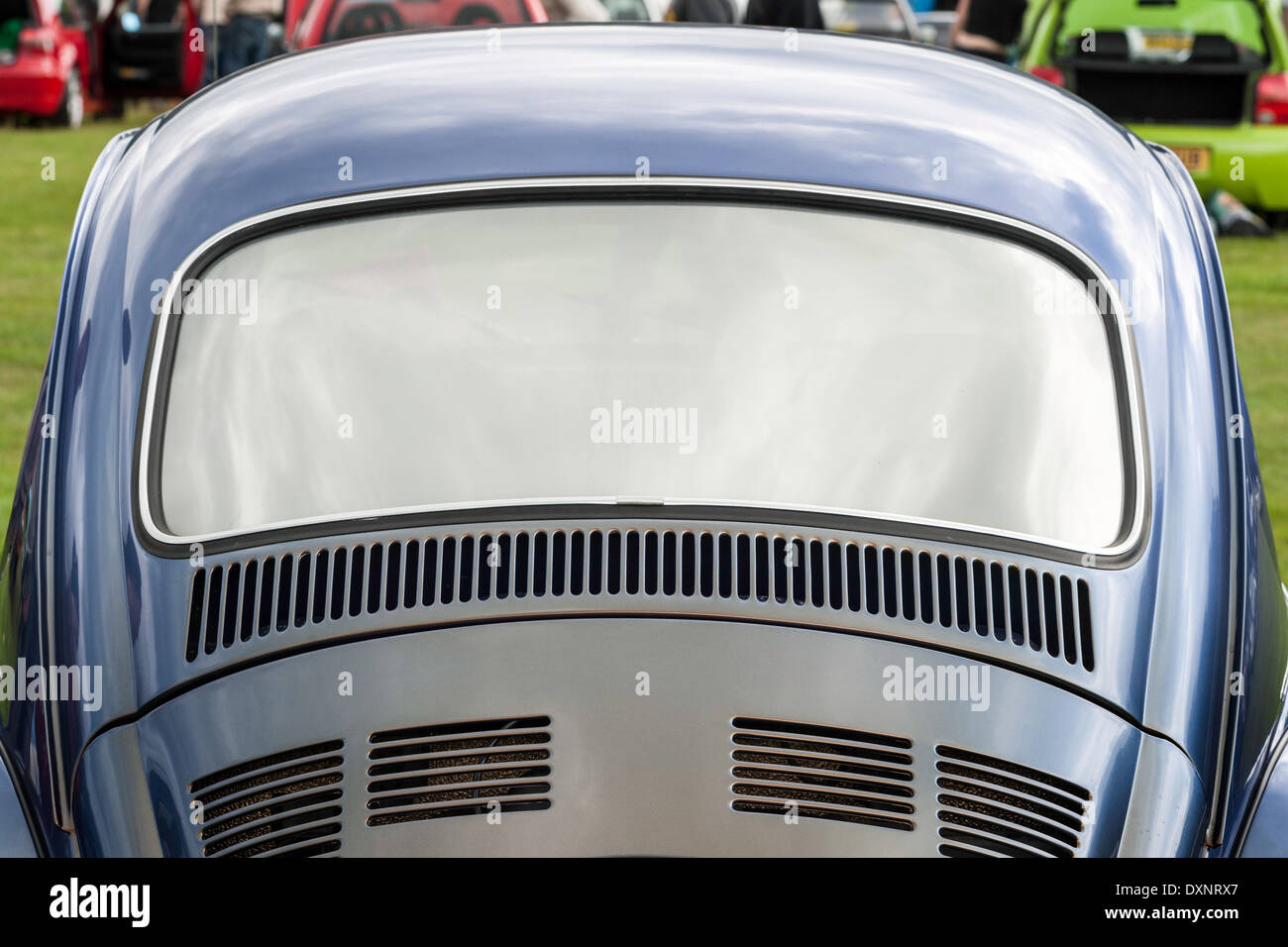 Beetle rear view window. Stock Photo