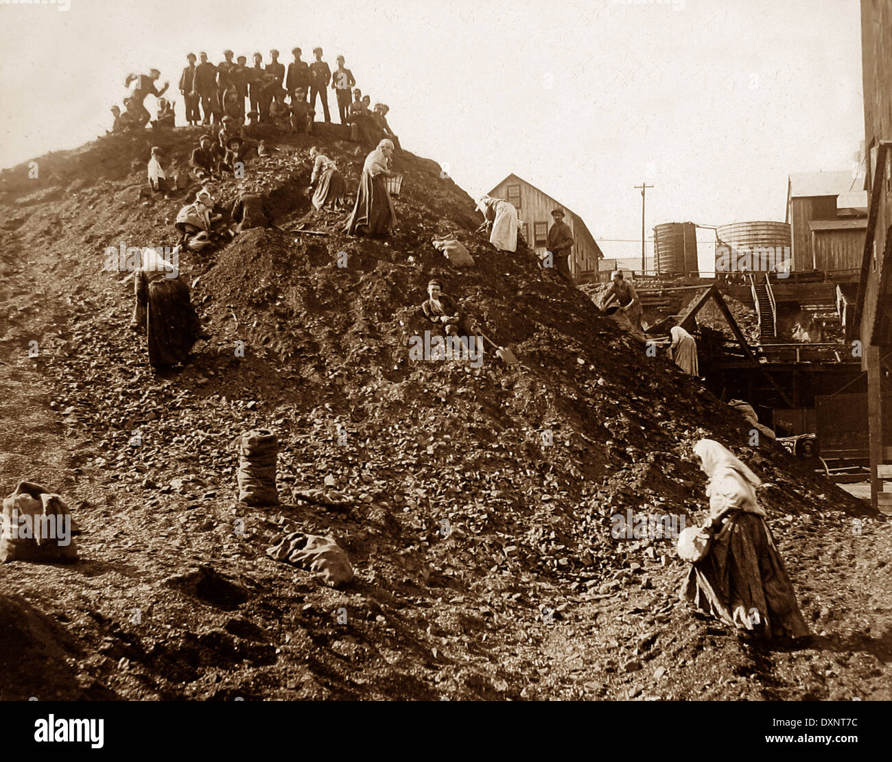 Families picking coal from a dump Scranton Pennsylvania USA early 1900s Stock Photo