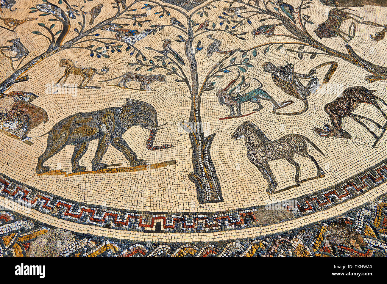 Roman mosaic from The House of Orpheus showing African animals ...