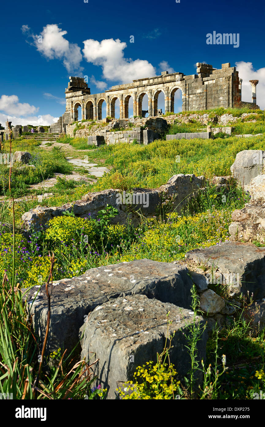 Exterior of the Basilica at Volubilis  Archaeological Site, near Meknes, Morocco Stock Photo