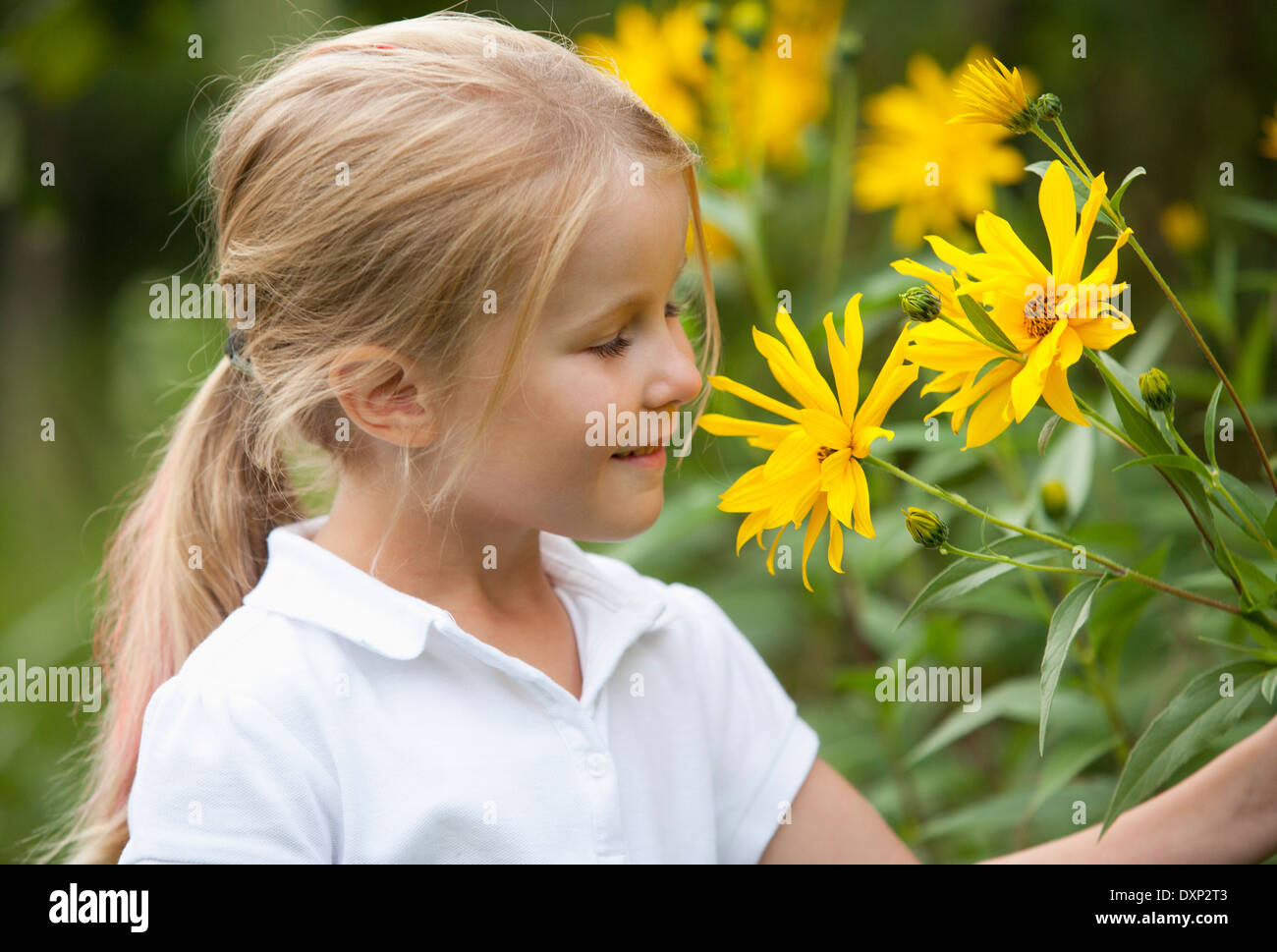 Portrait of smiling little girl in the garden Stock Photo - Alamy