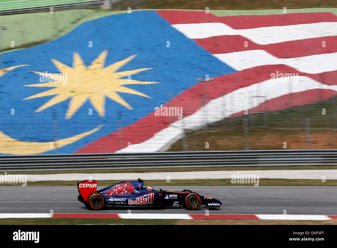 Motorsports: FIA Formula One World Championship 2014, Grand Prix of Malaysia,   #26 Daniil Kvyat (RUS, Scuderia Toro Rosso), Stock Photo