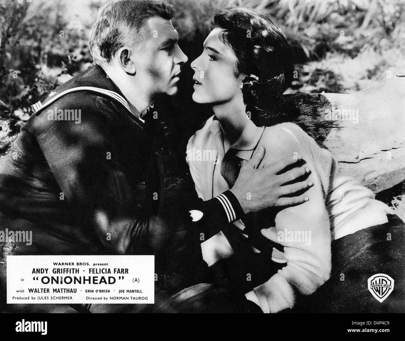 Onionhead hires stock photography and images Alamy