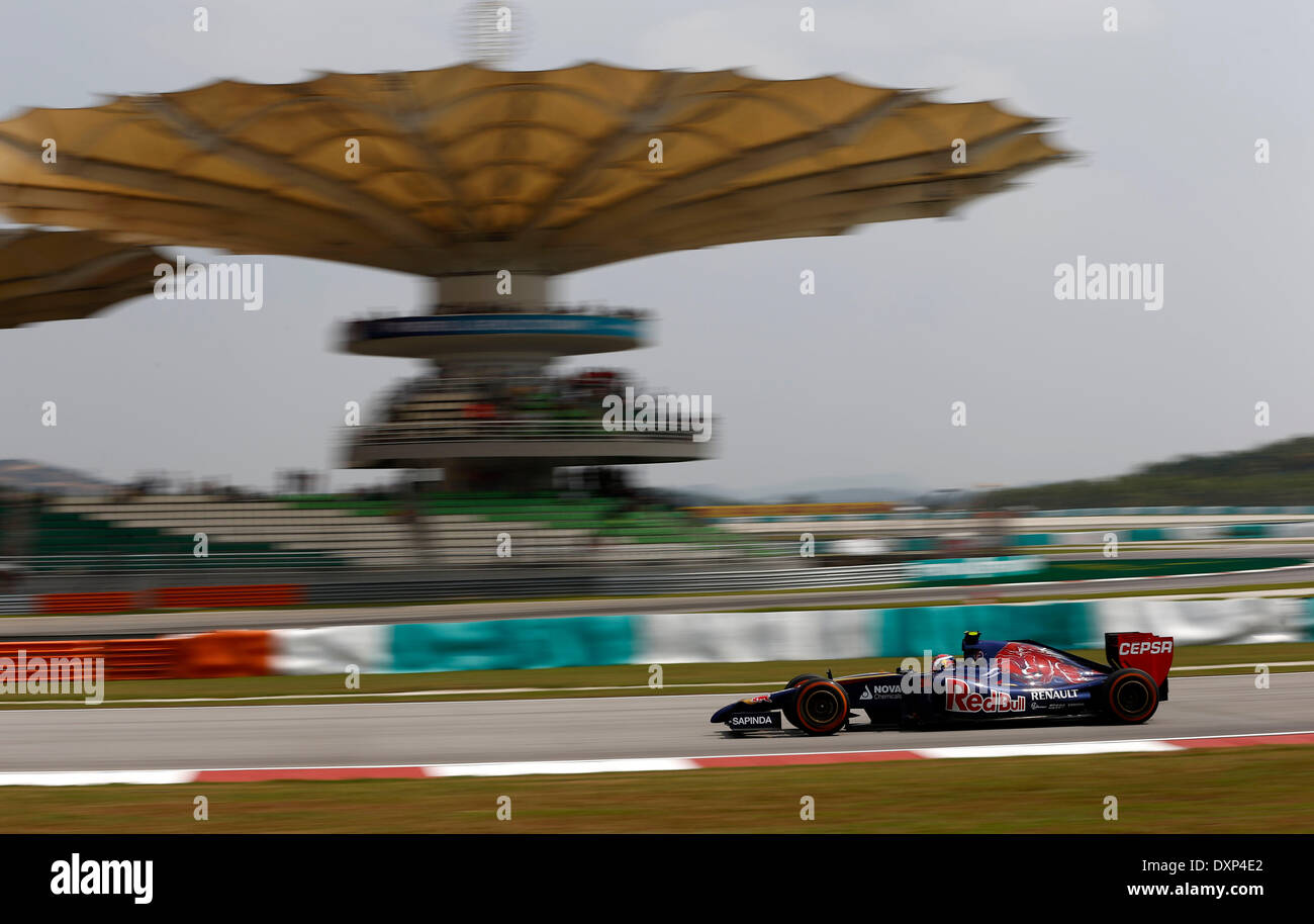 Motorsports: FIA Formula One World Championship 2014, Grand Prix of Malaysia,   #26 Daniil Kvyat (RUS, Scuderia Toro Rosso), Stock Photo