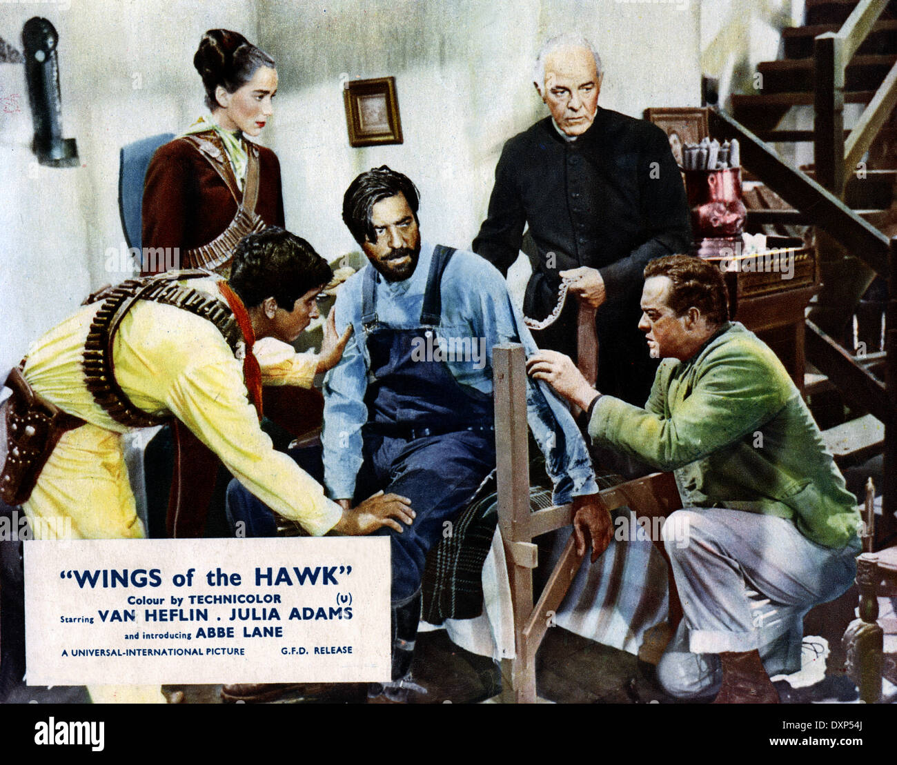 WINGS OF THE HAWK Stock Photo Alamy