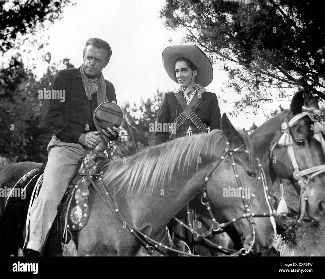 WINGS OF THE HAWK Stock Photo Alamy