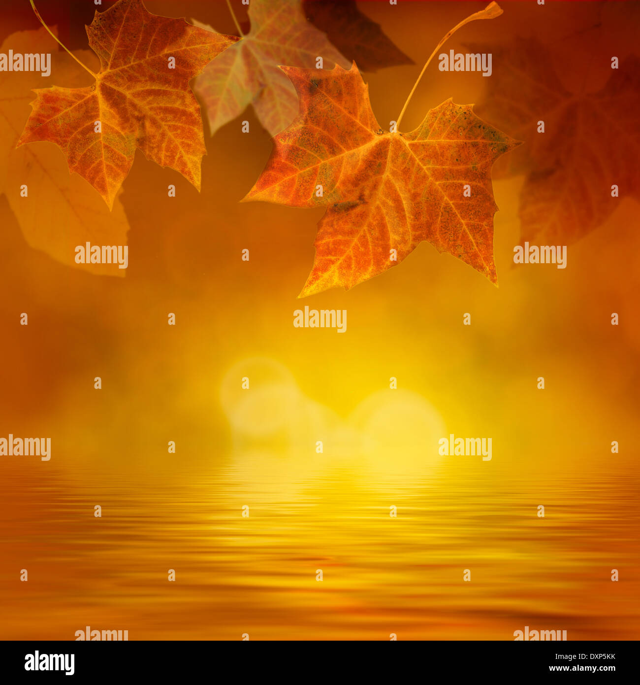 Autumn design background with colorful green and yellow leaves falling ...
