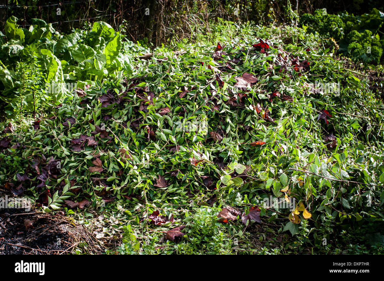 Composting process hi-res stock photography and images - Alamy