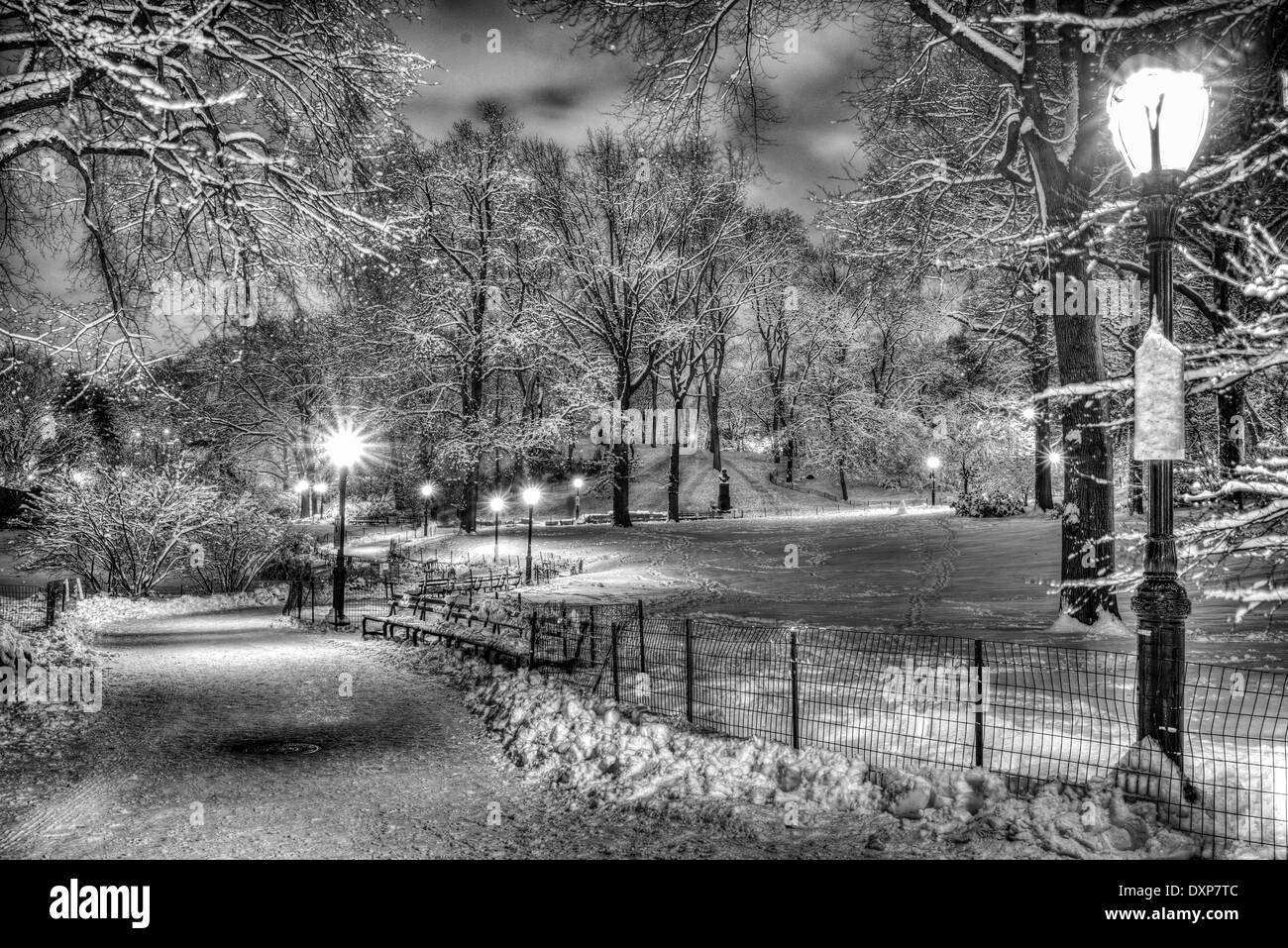 Central Park, New York City at night Stock Photo Alamy