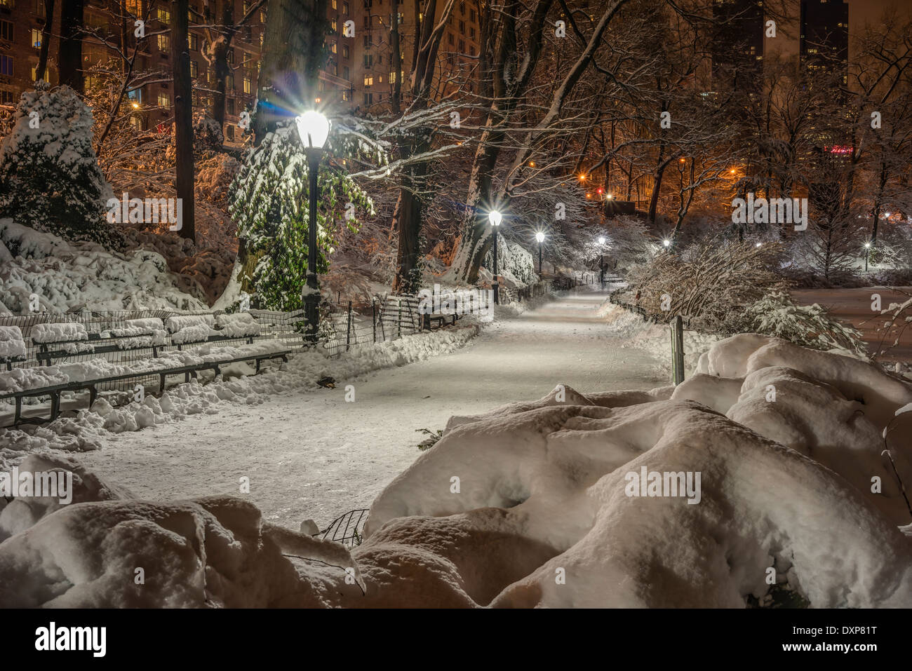 Central Park, New York City in winter after snow storm Central Park ...
