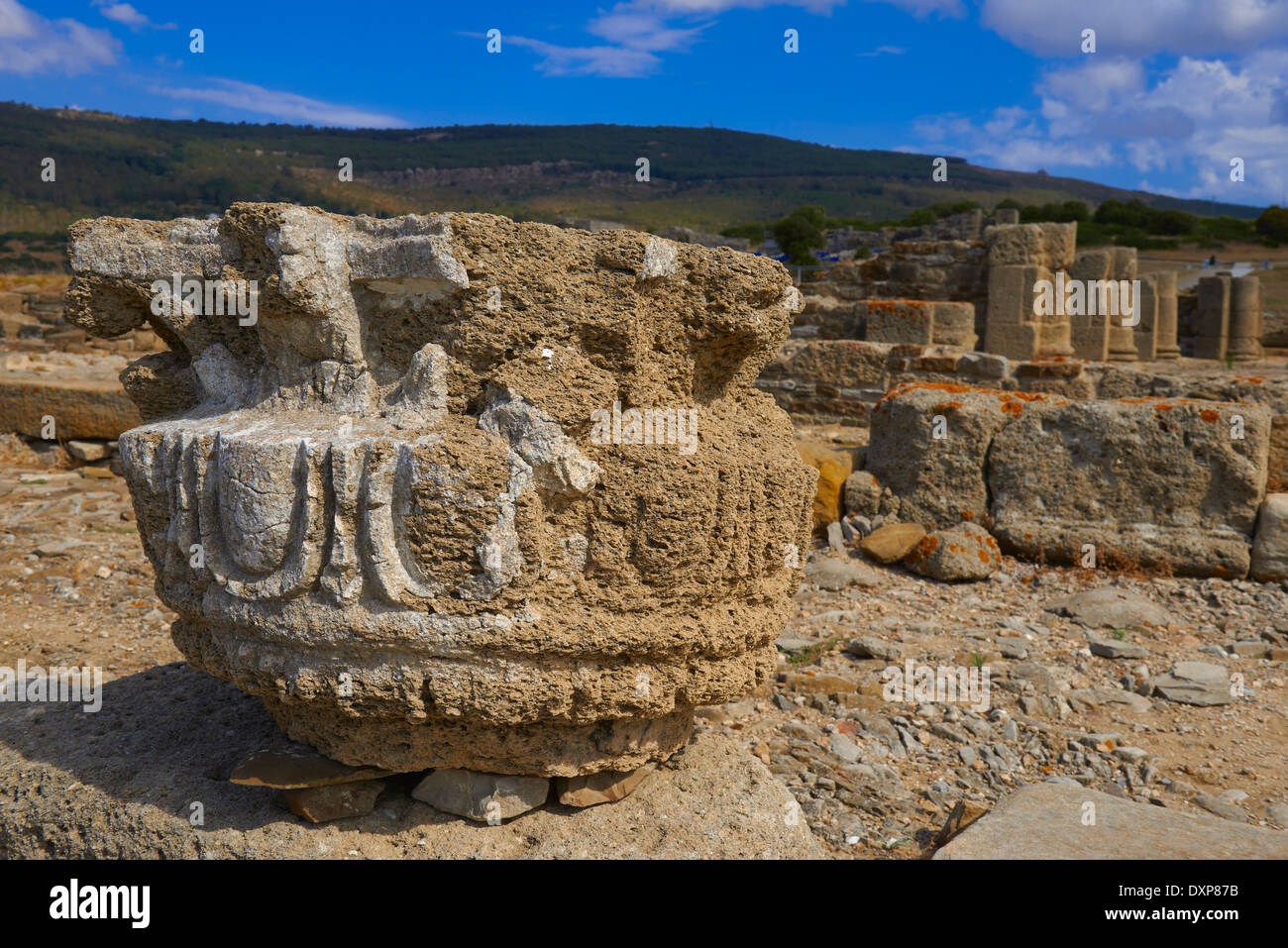 Bolonia, Baelo Claudia, Archaeological site , old roman city , Strait of Gibraltar Natural Park, Costa de la Luz, Cadiz Stock Photo