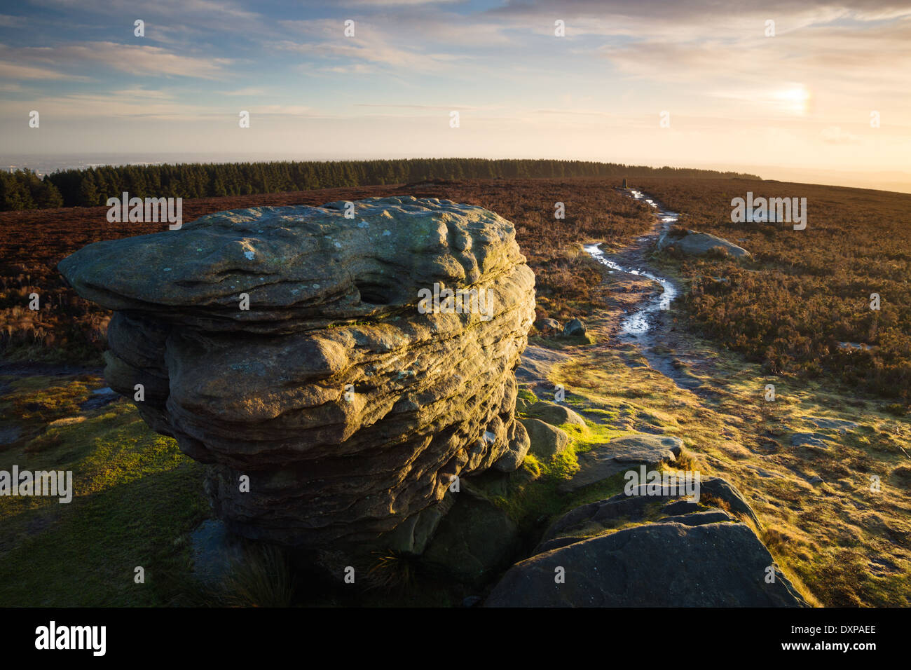 Dawn light at Ox Stones on Burbage Moor with a wet path leading the way to the trig point. Peak District. Stock Photo