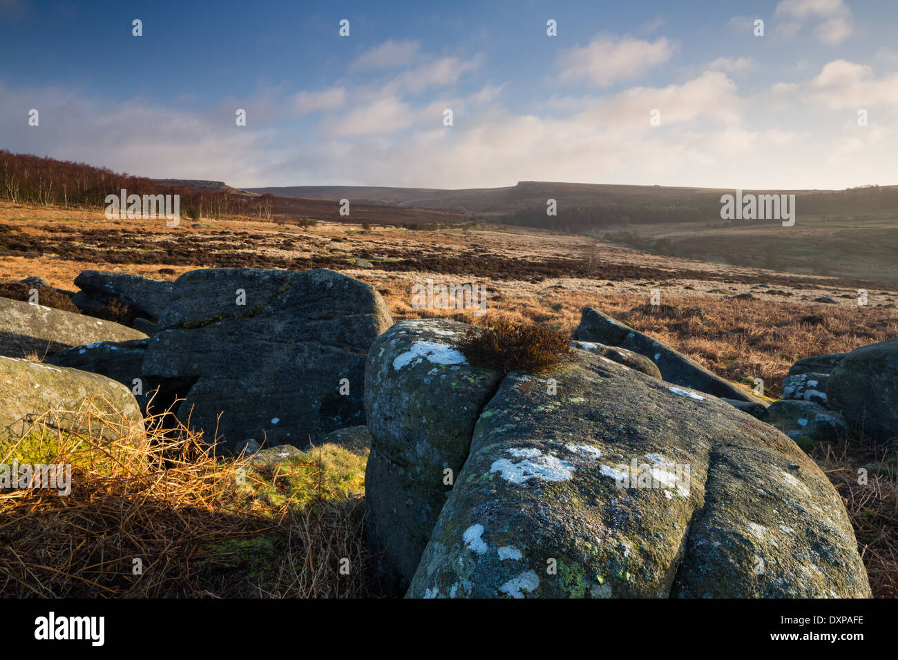 Dawn light at Owler Tor in the Peak District's Longshaw Estate. Looking towards Upper Burbage. Stock Photo