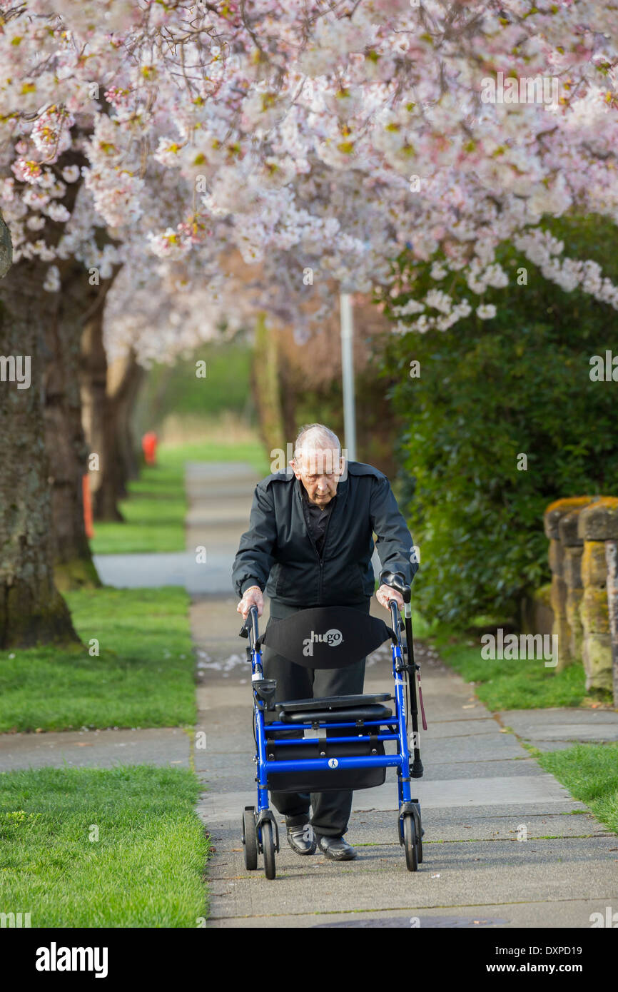 Elderly man walking hi-res stock photography and images - Alamy