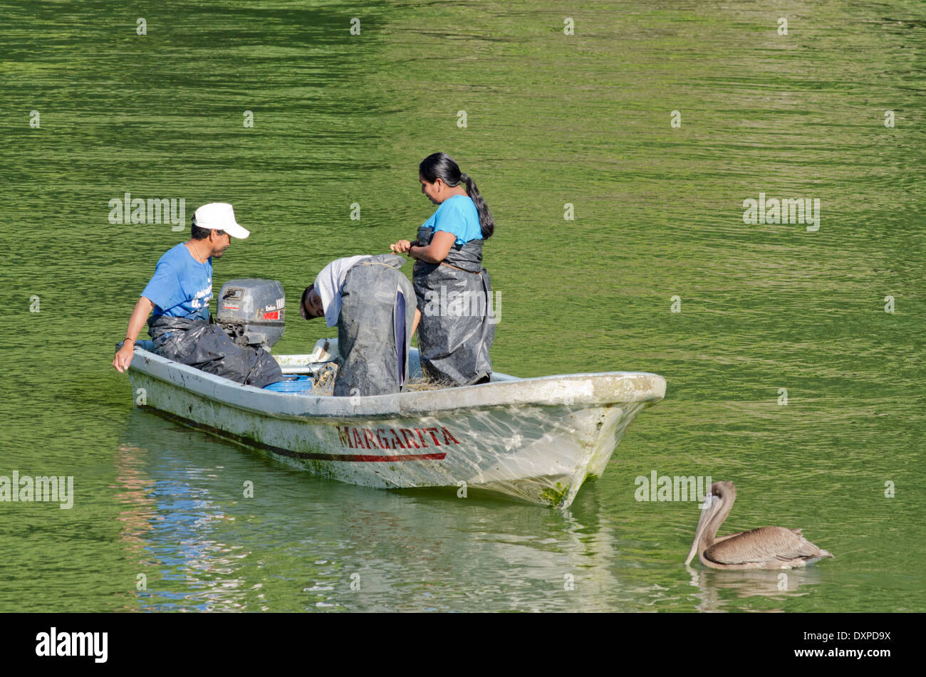 Guatemala, Department of Izabal, near Livingston, Rio Dulce (Sweet Water River). Traditional fishing boat on the Rio Dulce River Stock Photo