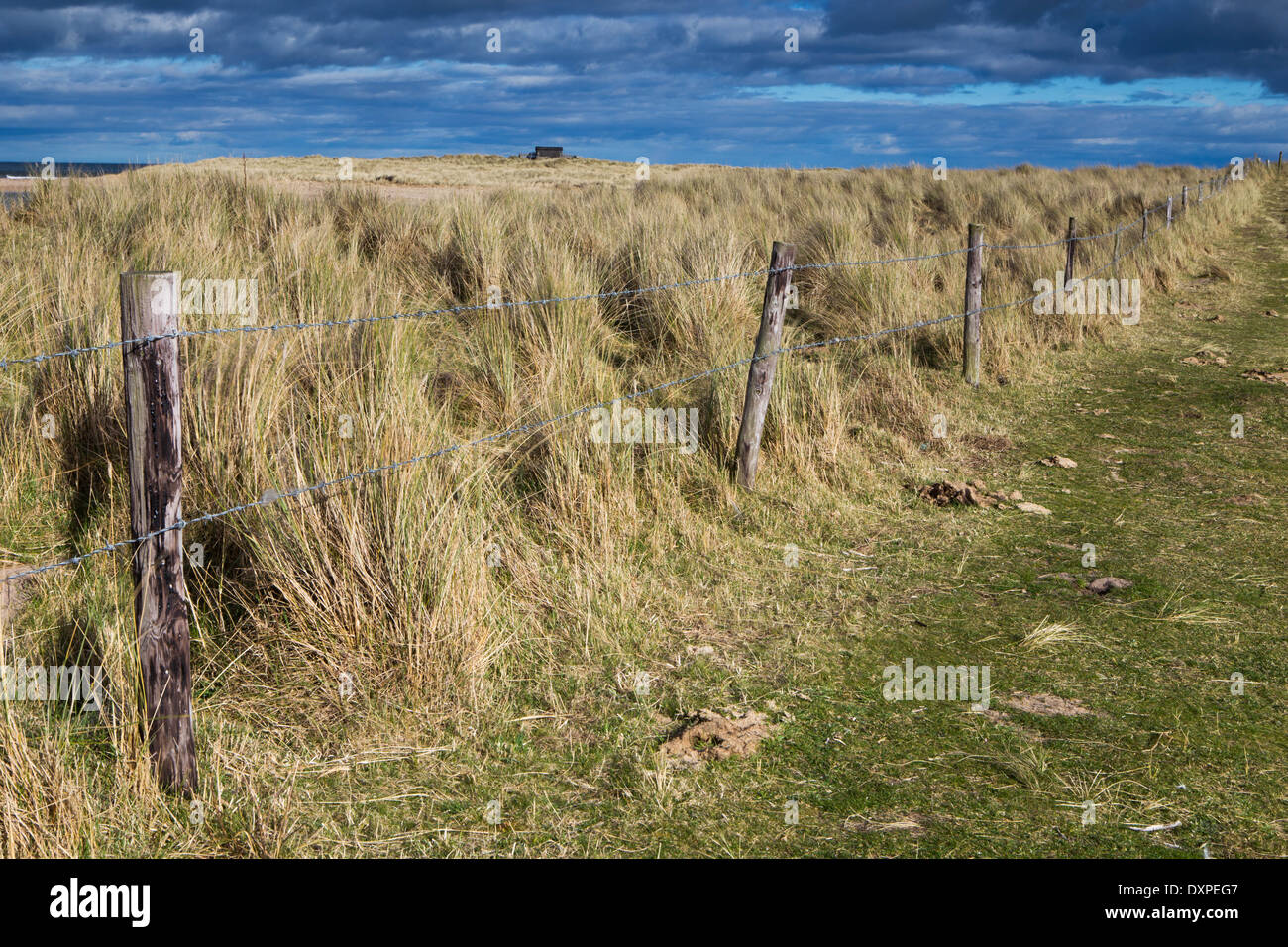 Fence line between green field and scrub grass in Northumberland Stock Photo Alamy