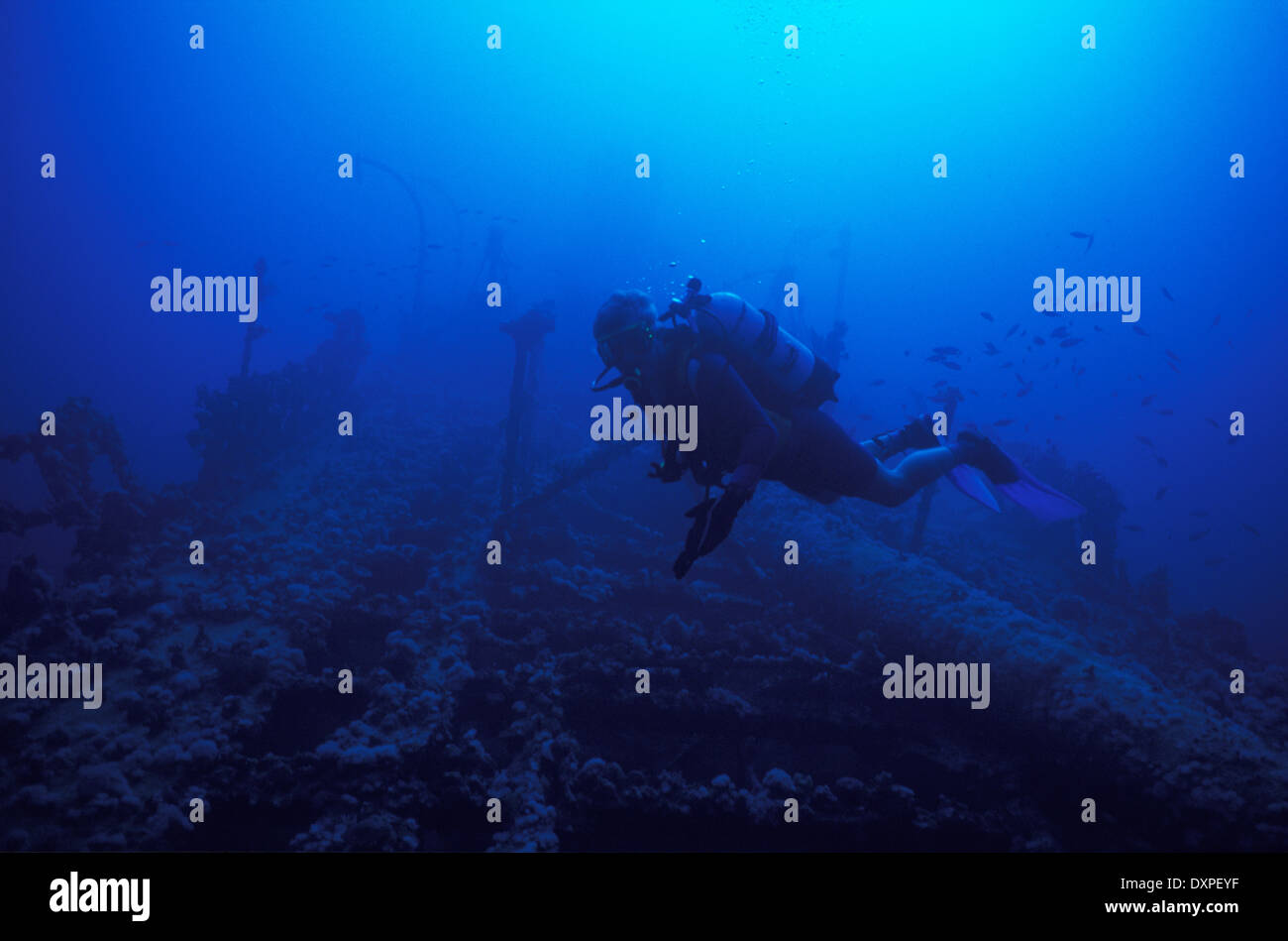 Maldives, wreck diving Stock Photo Alamy