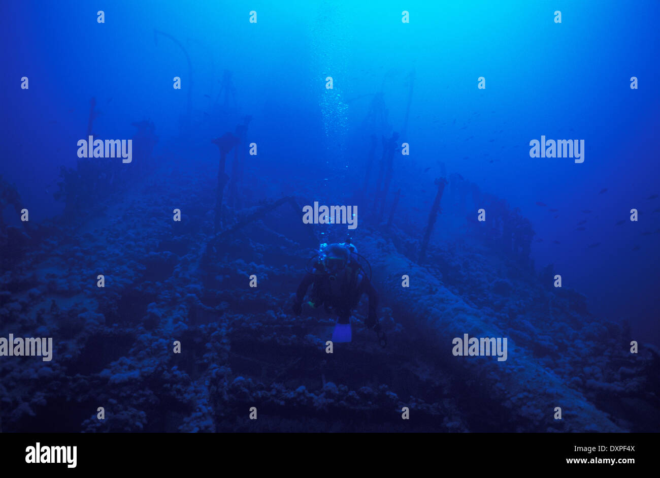 Maldives, underwater, wreck diving Stock Photo Alamy