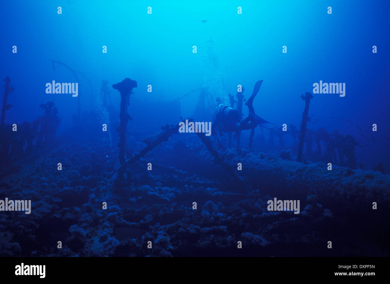 Maldives, underwater, wreck diving Stock Photo Alamy