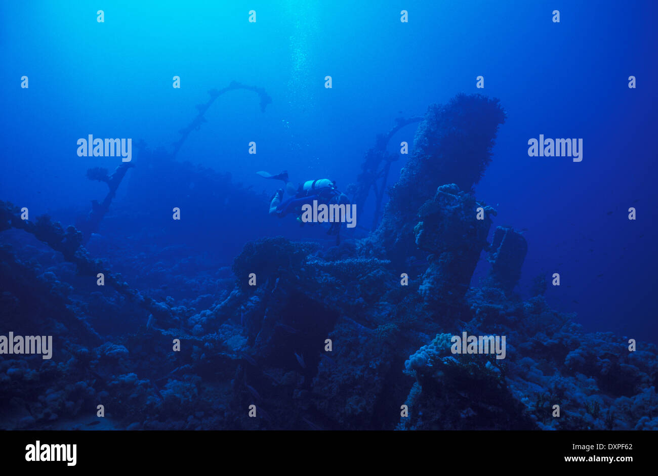 Maldives, underwater, wreck diving Stock Photo Alamy