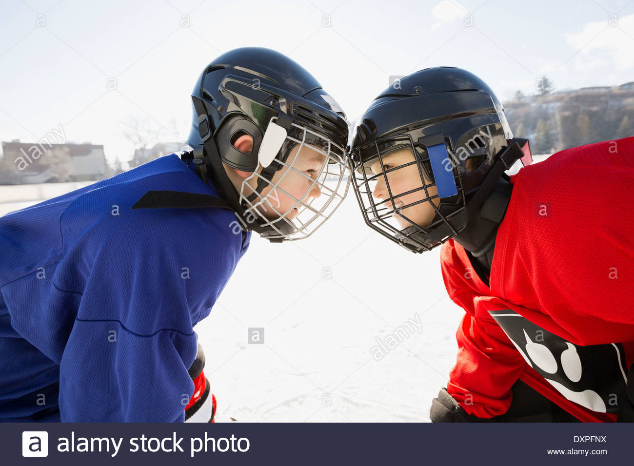 Ice hockey players facing off on rink Stock Photo Alamy