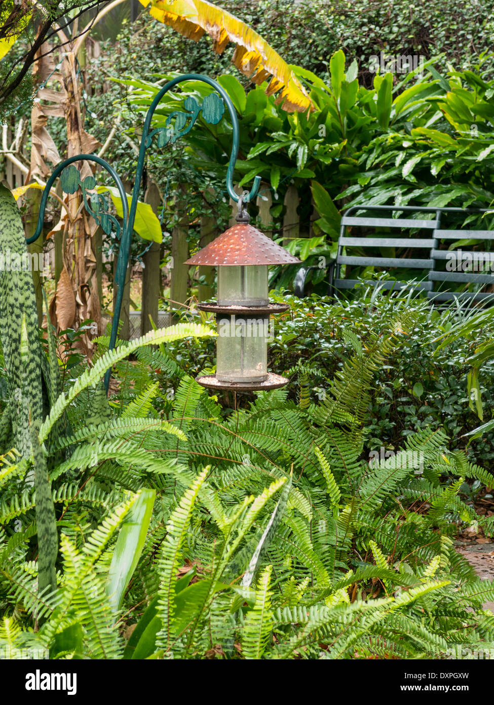 Backyard Hanging Bird Feeder, Florida FL, USA Stock Photo Alamy