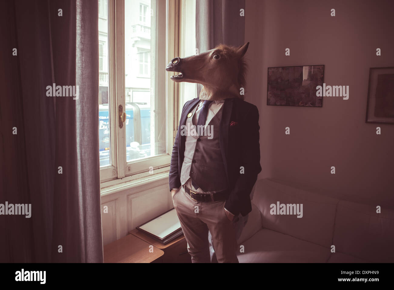 horse mask man in front of window at home Stock Photo Alamy