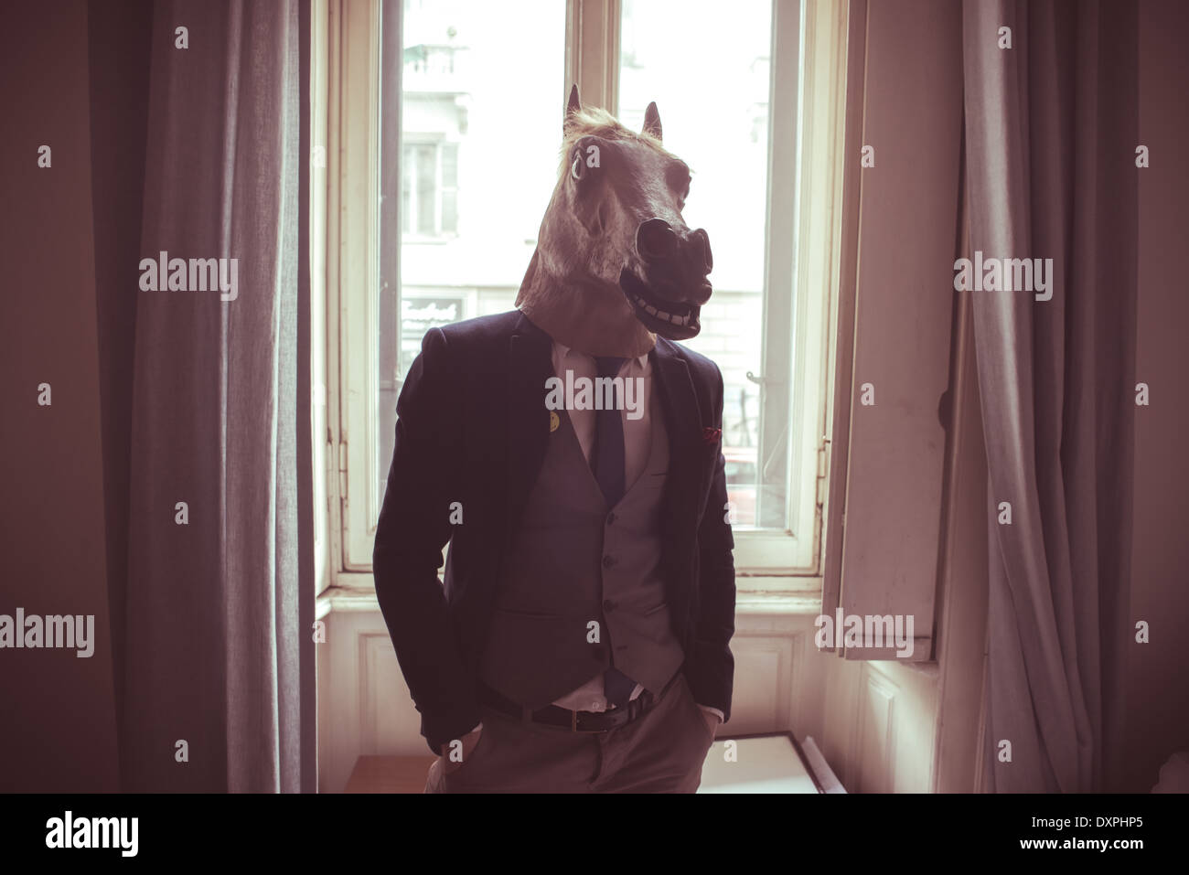 horse mask man in front of window at home Stock Photo Alamy