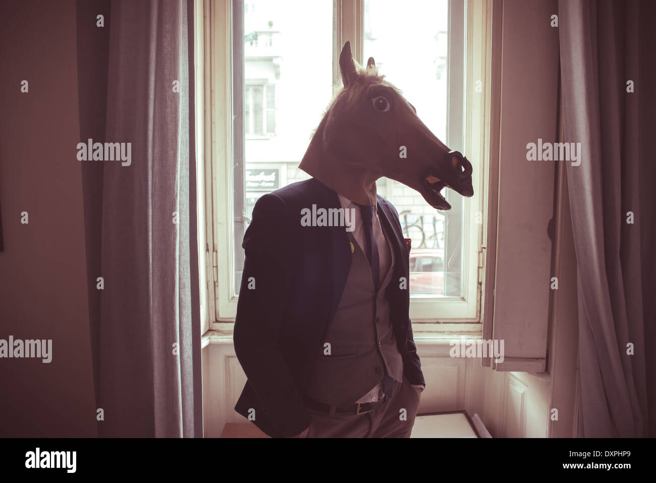 horse mask man in front of window at home Stock Photo Alamy