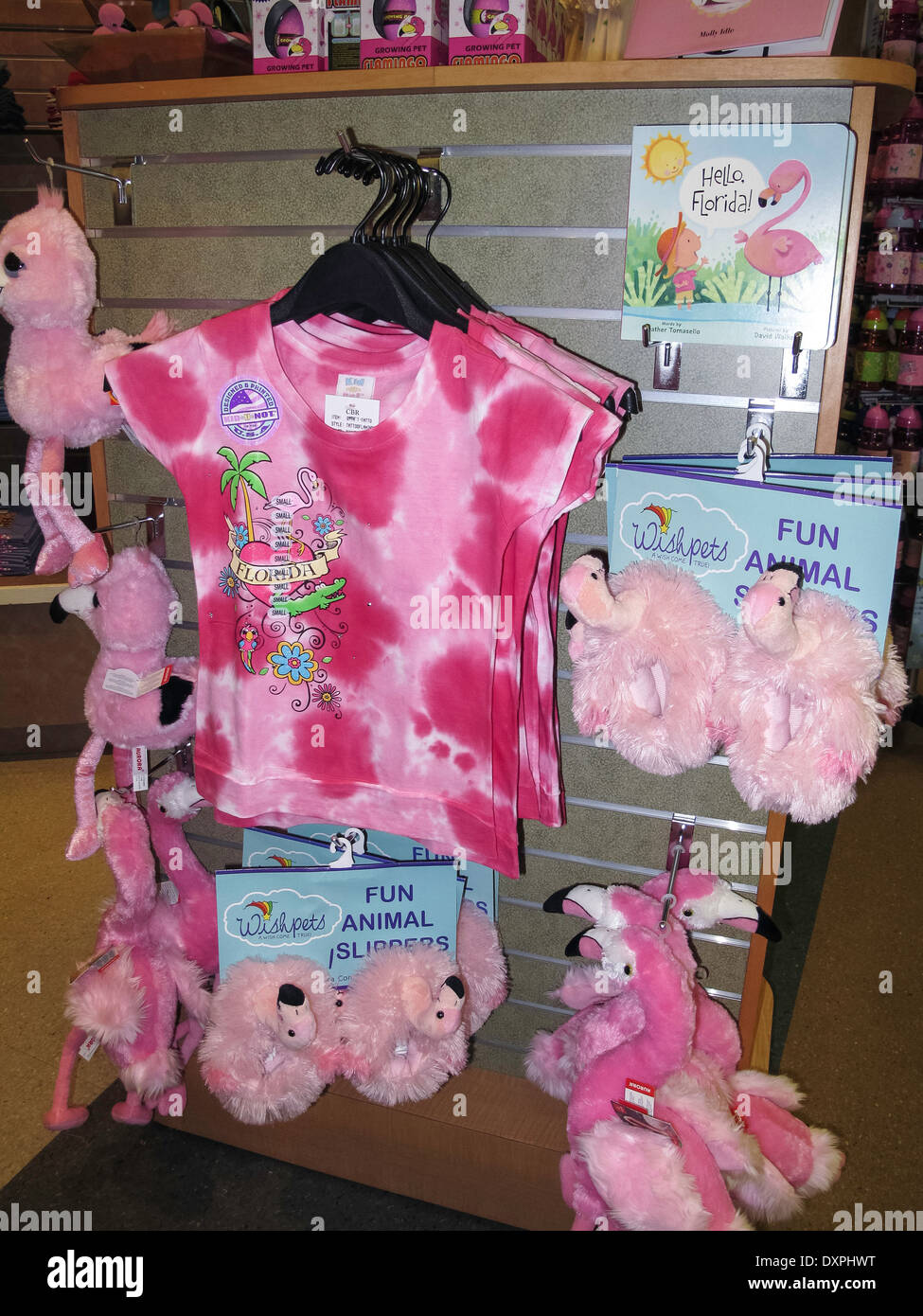 Florida Souvenirs in Shop, Galleria, Main Terminal Concourse, Tampa