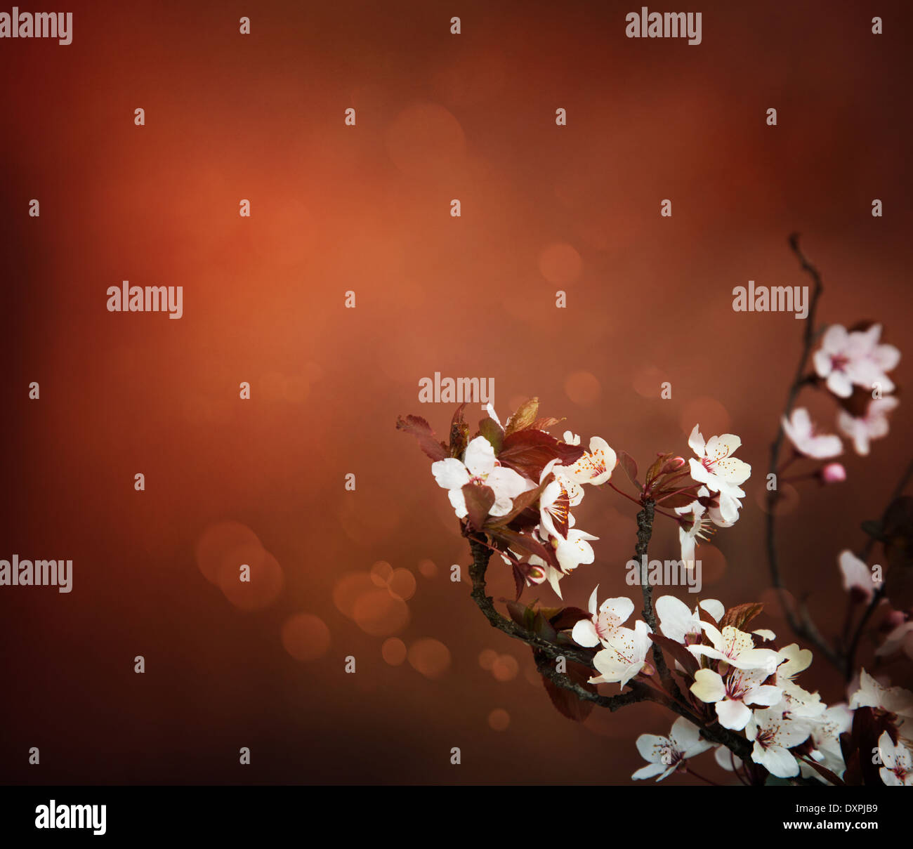 Abstract art natural spring hi-res stock photography and images - Alamy