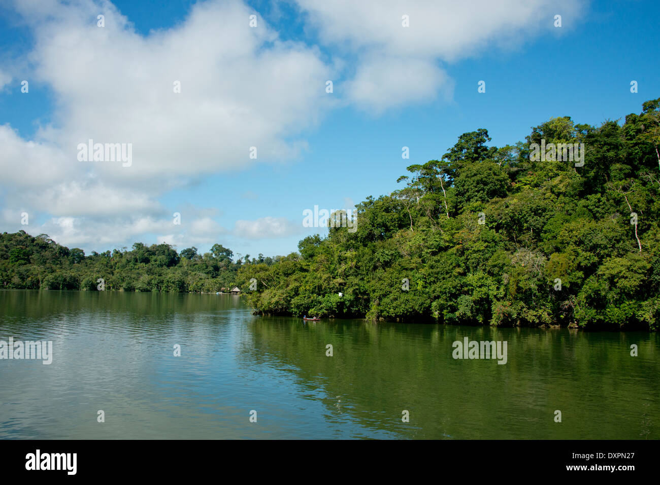 Guatemala, Department of Izabal, near the town of Livingston, Rio Dulce (Sweet Water) River. Jungle river view. Stock Photo