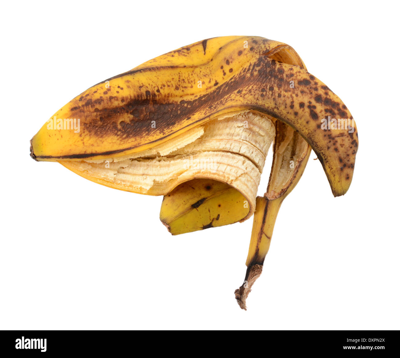 Empty spotted overripe banana skin, isolated on a white background Stock Photo