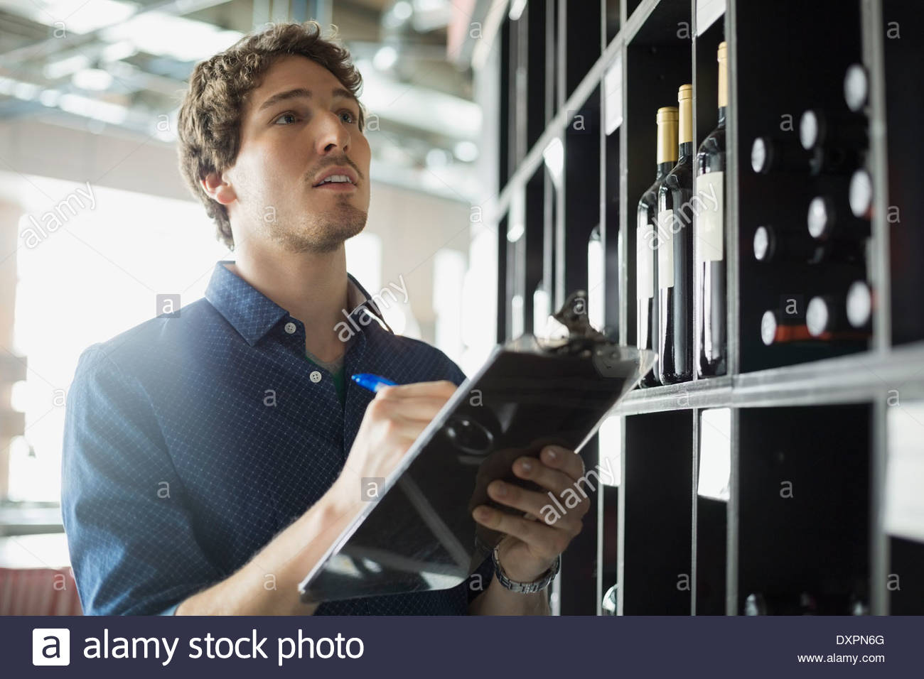 Sommelier taking inventory in wine store Stock Photo