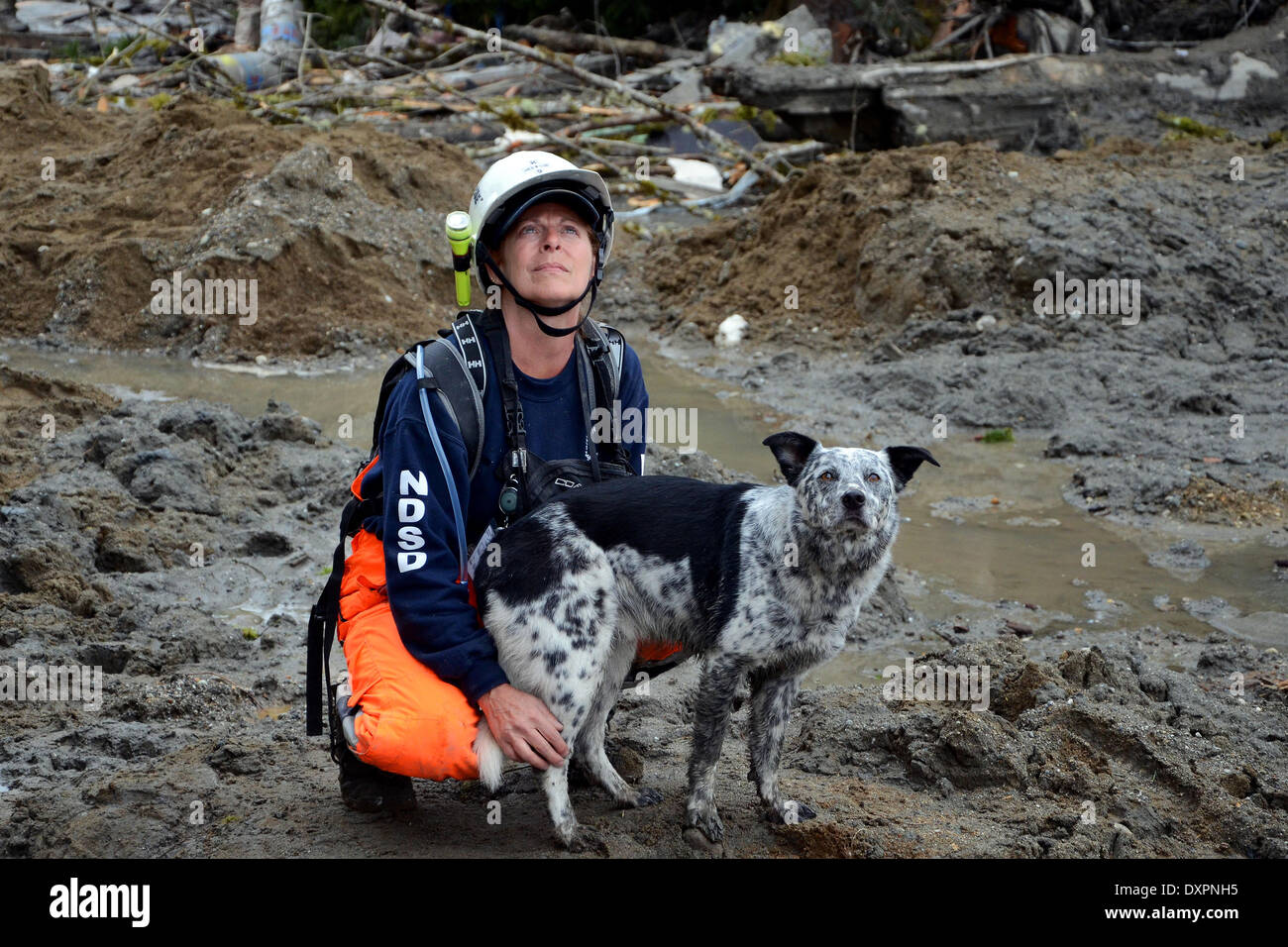 Oso, Washington, USA . 28th Mar, 2014. Lisa Bishop and her dog, Cody, from Northwest Disaster Search Dogs, during efforts to locate victims of a massive landslide that killed at least 28 people and destroyed a small riverside village in northwestern Washington state March 27, 2014 in Oso, Washington. Credit:  Planetpix/Alamy Live News Stock Photo