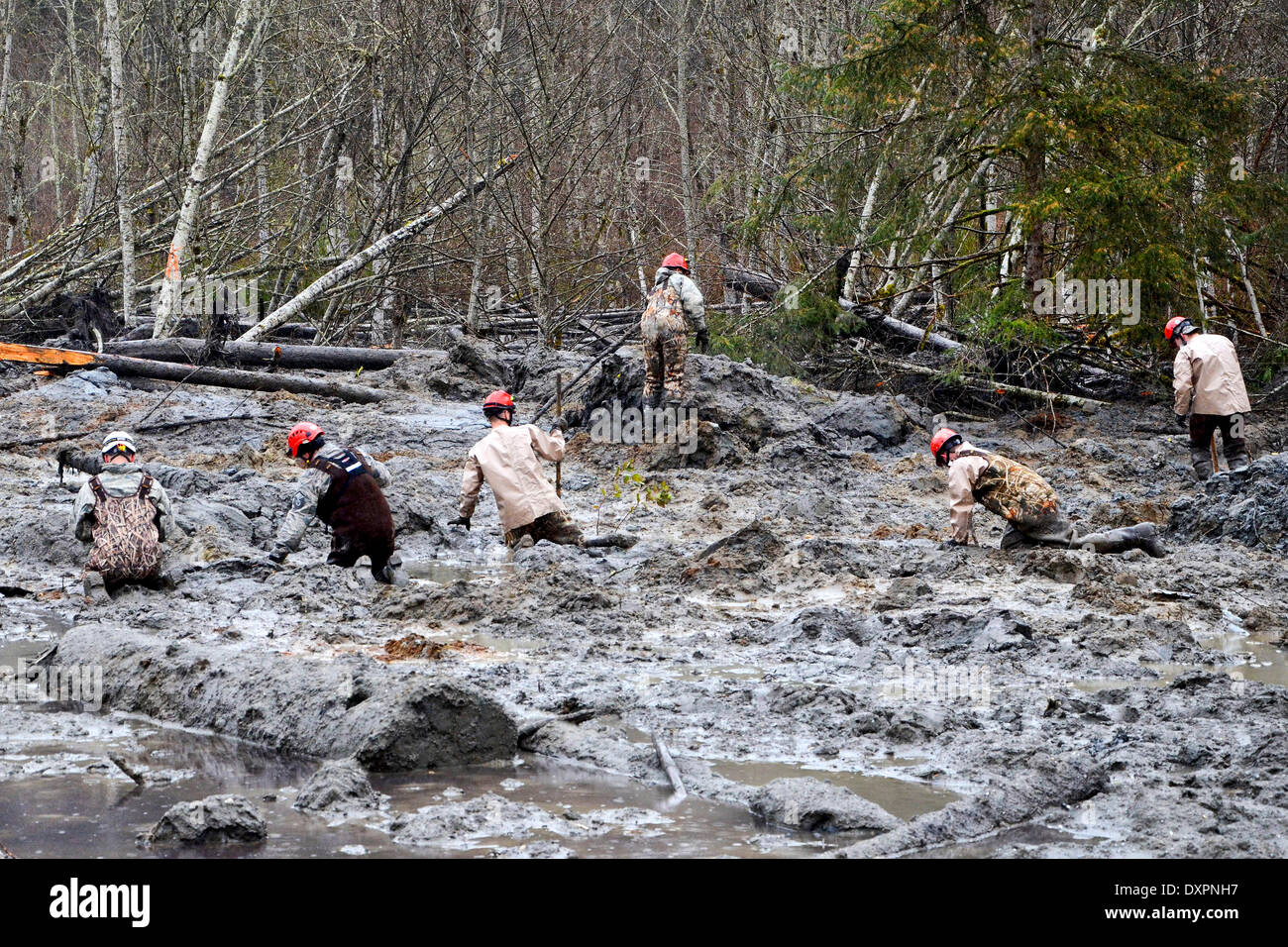 Oso, Washington, USA . 28th Mar, 2014. Rescue workers continue efforts to locate victims of a massive landslide that killed at least 28 people and destroyed a small riverside village in northwestern Washington state March 28, 2014 in Oso, Washington. Credit:  Planetpix/Alamy Live News Stock Photo