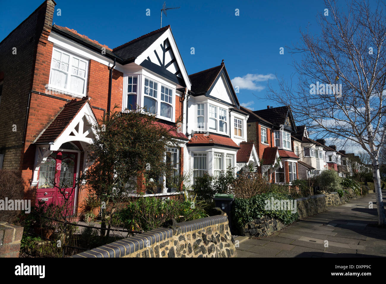 Row of houses in Farrer Road, Hornsey, North London, England, UK Stock Photo
