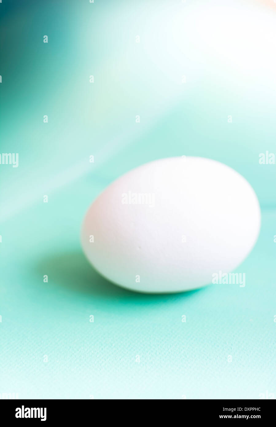 Soft white dreamy and undecorated egg abstract on cold mint green background Stock Photo Alamy