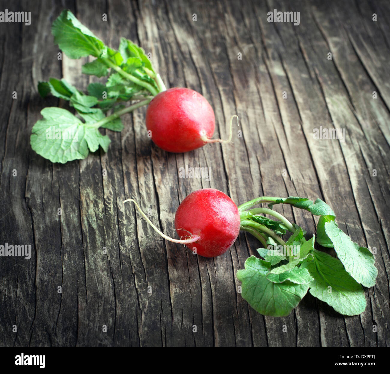 Fresh radish on wooden background Stock Photo